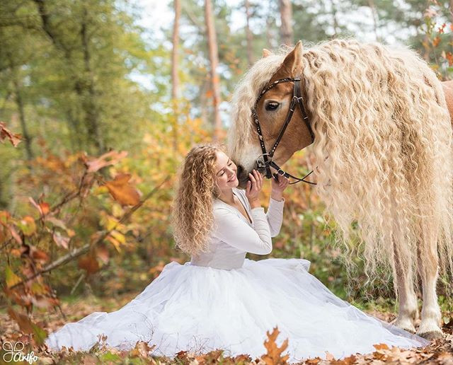 Nhiều fan hâm mộ của Storm nói rằng, cô ngựa này thực sự xứng đáng với danh xưng "công chúa tóc mây" trong loài ngựa.