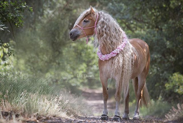 Ở bất cứ góc độ nào, Storm cũng khoe được vẻ đẹp vạn người mê của mình.