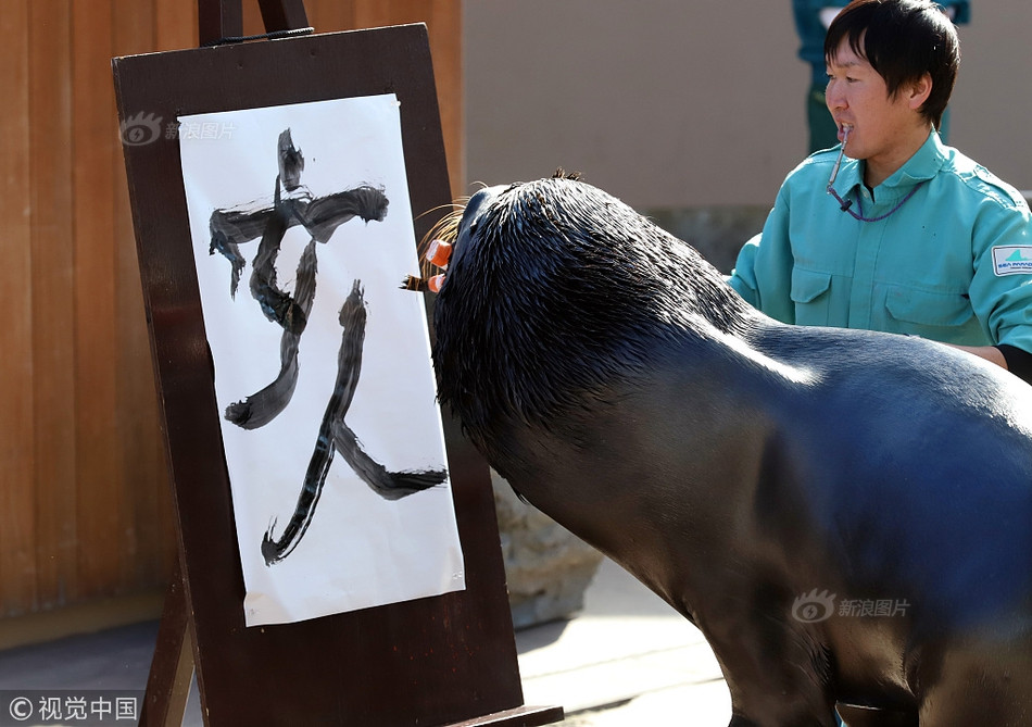 Tuy nhiên, bên cạnh những lời ca ngợi, tán dương, nhiều người cũng cho rằng, để có thể luyện thành kỹ năng viết thư pháp này, chắc hẳn chú sư tử biển Leo đã phải trải qua những lần huấn luyện nghiêm khắc và đau đớn.