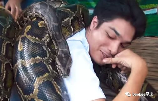 Trong ảnh, một du khách đang tận hưởng dịch vụ massage bằng trăng khổng lồ.