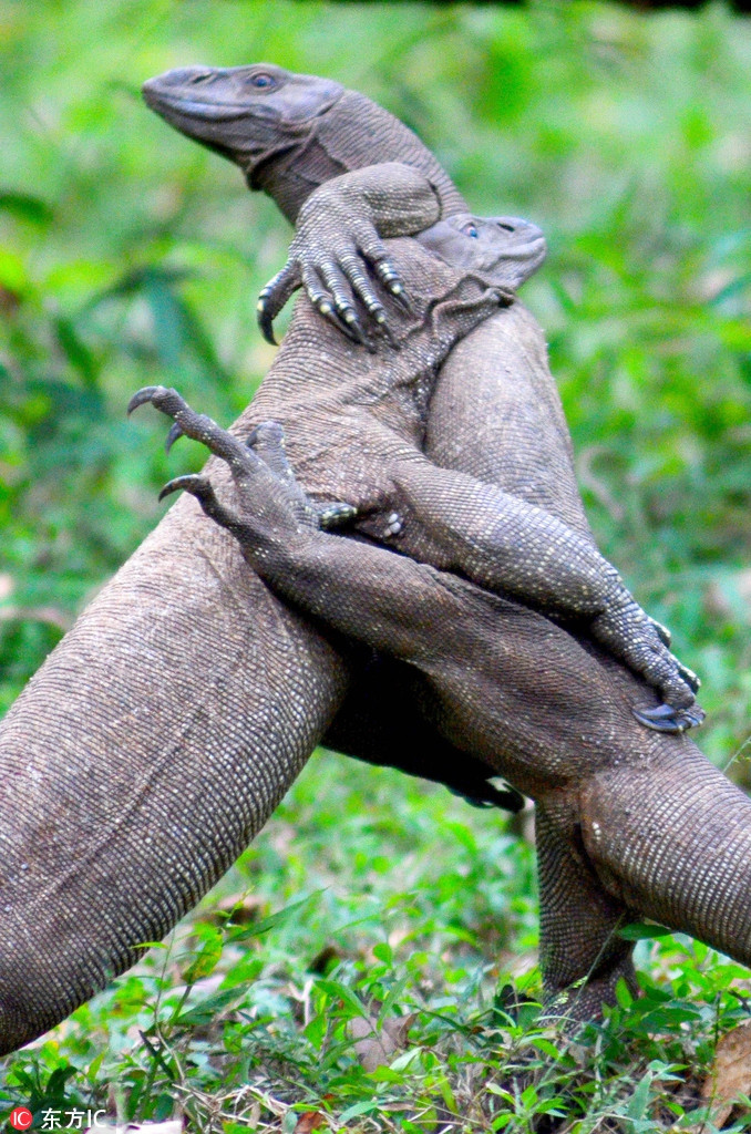 Danh chien khoc liet, than lan khong lo quay ra om nhau tham thiet-Hinh-2