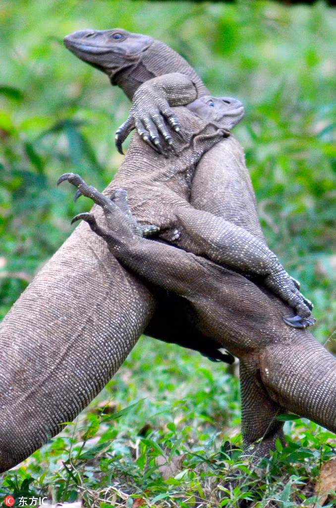 Danh chien khoc liet, than lan khong lo quay ra om nhau tham thiet-Hinh-2