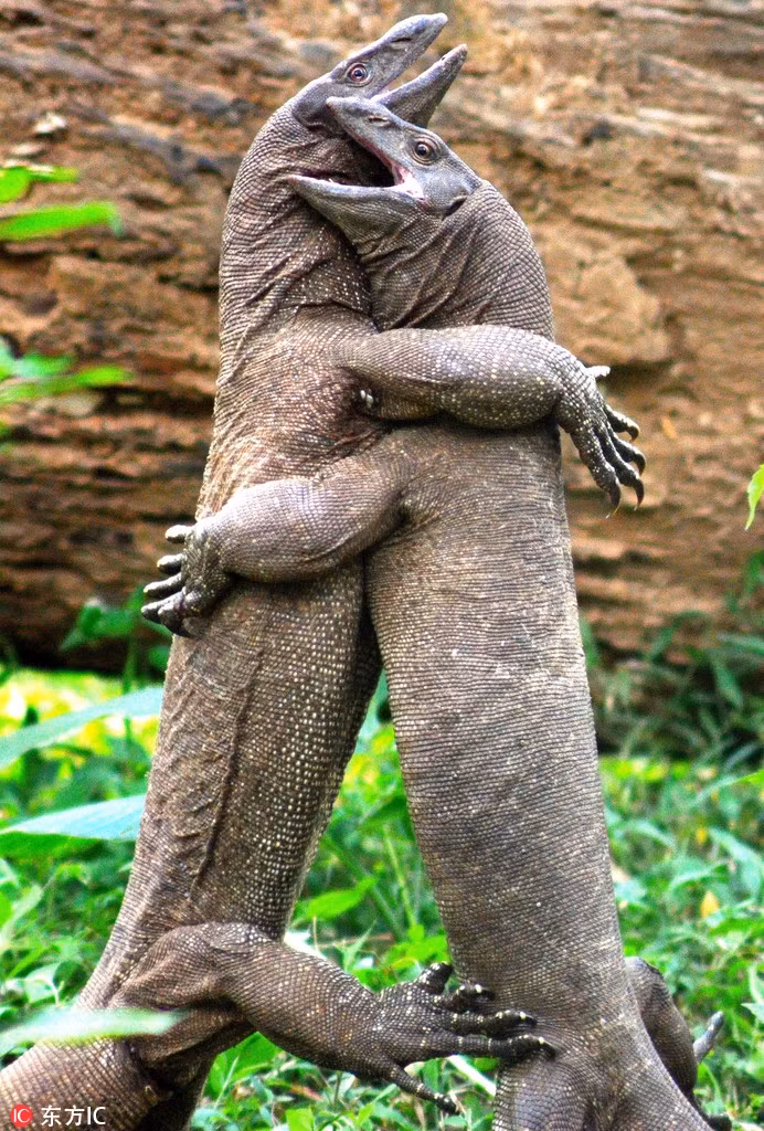 Danh chien khoc liet, than lan khong lo quay ra om nhau tham thiet