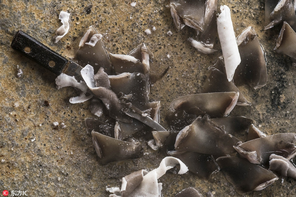 Cảm thấy cần phải phản ánh thực trạng đáng sợ về ngành công nghiệp ẩm thực đắt đỏ này, nhiếp ảnh gia Jasper Wilkins đã cùng với người bạn Shin Sirachai Arunrugstichai, đến thăm một số chợ và nhà hàng vây cá mập ở Thái Lan.