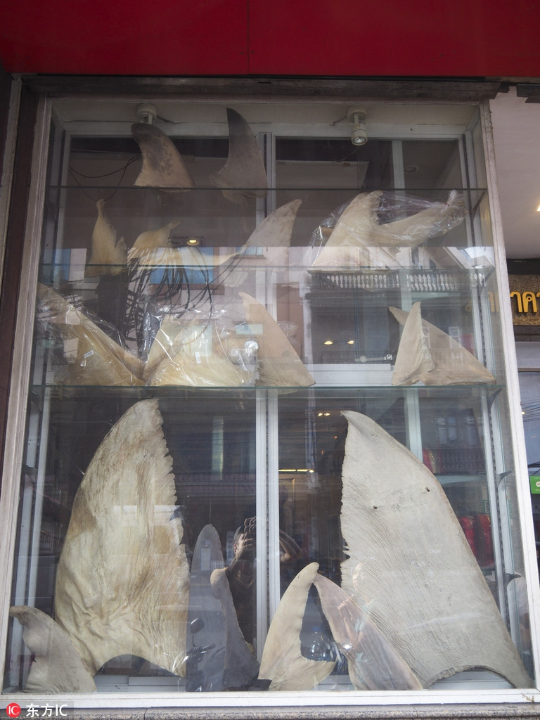 Theo báo cáo, Thái Lan là nước xuất khẩu vây cá mập lớn nhất thế giới. Chỉ tính riêng từ năm 2012-2016, xuất khẩu vây cá mập ở nước này đạt 22.467 tấn. Thông qua những hình ảnh của mình, nhiếp ảnh gia Jasper Wilkins hy vọng sẽ nâng cao nhận thức của mọi người về việc cần bảo vệ loài cá mập một cách cấp thiết.