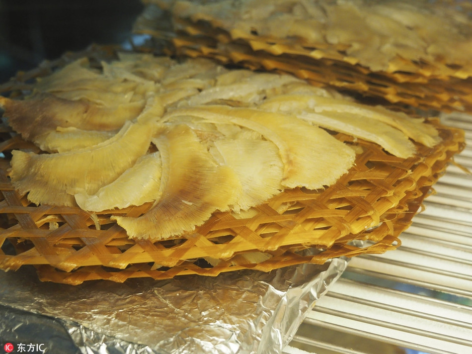 Dưới sự giết hại hàng loạt của con người, số lượng cá mập đã liên tục giảm và số lượng một số loài cá mập quý hiếm đã giảm đến 98% trong vòng 15 năm qua. Hiện tại, nhiều loài cá mập đã được liệt kê, nằm trong danh sách động vật có nguy cơ tuyệt chủng, cần được bảo vệ.