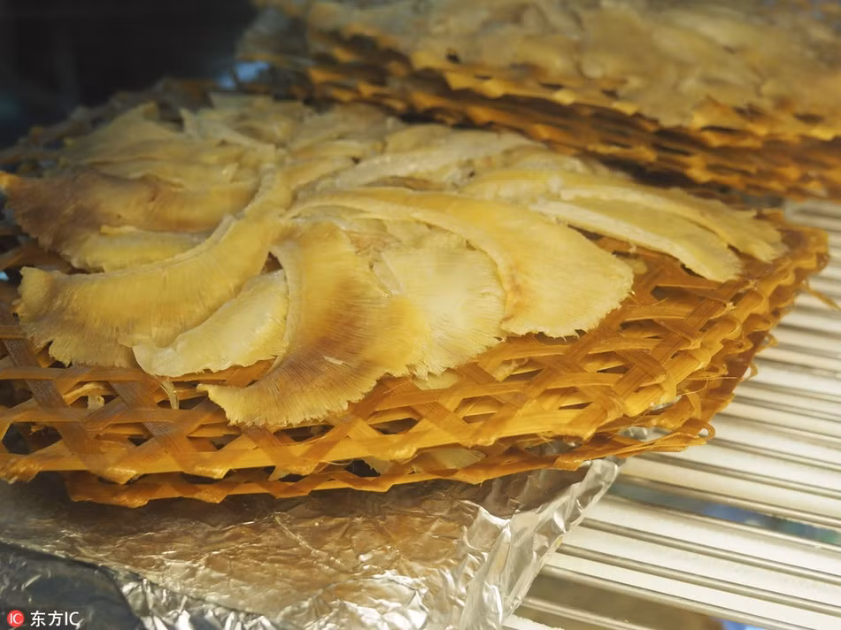 Dưới sự giết hại hàng loạt của con người, số lượng cá mập đã liên tục giảm và số lượng một số loài cá mập quý hiếm đã giảm đến 98% trong vòng 15 năm qua. Hiện tại, nhiều loài cá mập đã được liệt kê, nằm trong danh sách động vật có nguy cơ tuyệt chủng, cần được bảo vệ.