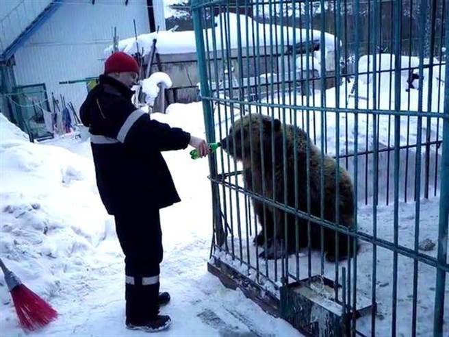 Khoe khoang cho gau nau khong lo an, co gai gap ket kinh di