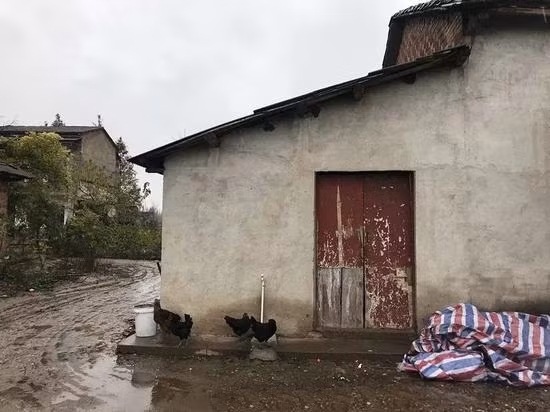 Rung minh be 12 tuoi giet me lanh lung... va su that dau long-Hinh-2