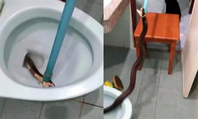 Mo bon cau, khoc thet khi phat hien thu kinh di nay an ngu