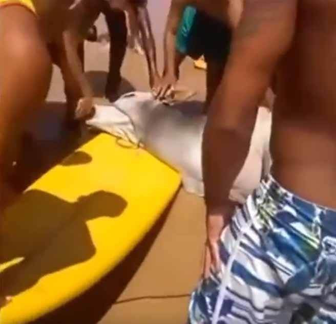 That vong vi con nguoi tan nhan, bo lao xuong bien tu tu-Hinh-2