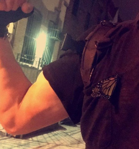 Andreas không để ý đến nó nữa cho tới giờ ăn, chàng trai trẻ phát hiện, con bướm không hề bay đi. Cảm thấy con bướm không biết là đã được cứu ra khỏi môi trường kín, Andreas quyết định đạp xe và hy vọng rằng gió sẽ giúp con bướm lấy lại sự tự do.