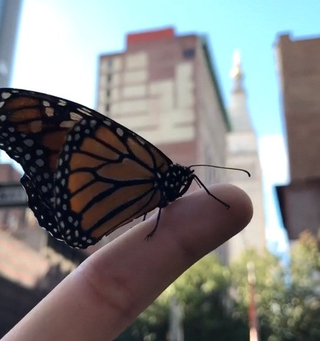 Theo thông tin đăng tải, Andreas Alfaro hiện đang là sinh viên. Khi rảnh rỗi, Andreas thường làm mẫu ảnh bán thời gian để kiếm thêm, cùng với đó là tự rèn luyện sức khỏe.