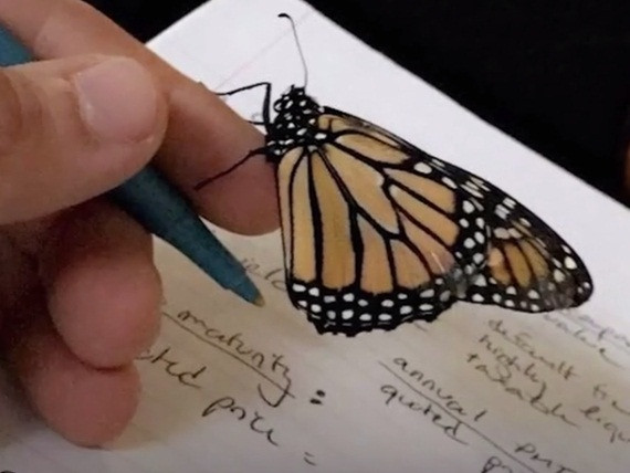 Sau đó, cả hai bắt đầu sống cùng nhau. Penelop rất bện hơi của Andreas, cùng đi chơi, cùng đi học. Ngay cả lúc ngủ, nó cũng bay đến gối và ngủ với ân nhân cứu mạng. Khi Andreas tập thể dục, Penelop sẽ đậu lên quần áo của chàng trai trẻ. Thậm chí ngay cả khi bơi, con bướm thông minh cũng biết đậu trên chiếc khăn bông và chờ đợi Andreas. Andreas cho biết: "Chúng tôi chẳn nói lời nào với nhau cả, nhưng chúng tôi rất hiểu nhau".