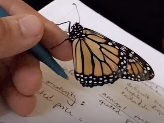 Sau đó, cả hai bắt đầu sống cùng nhau. Penelop rất bện hơi của Andreas, cùng đi chơi, cùng đi học. Ngay cả lúc ngủ, nó cũng bay đến gối và ngủ với ân nhân cứu mạng. Khi Andreas tập thể dục, Penelop sẽ đậu lên quần áo của chàng trai trẻ. Thậm chí ngay cả khi bơi, con bướm thông minh cũng biết đậu trên chiếc khăn bông và chờ đợi Andreas. Andreas cho biết: "Chúng tôi chẳn nói lời nào với nhau cả, nhưng chúng tôi rất hiểu nhau".