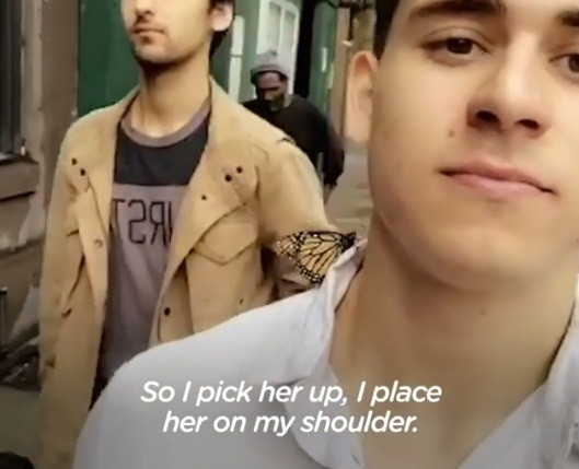 Theo chia sẻ, chàng trai có một cuộc sống giống như hầu hết những người trẻ hiện đại, bận rộn, buồn tẻ, không có gì đặc biệt. Thế nhưng một ngày đẹp trời, một con bướm xinh đẹp đã xuất hiện, thay đổi suy nghĩ, cuộc sống của Andreas, khiến chàng trai trẻ có những kỷ niệm không thể nào quên.