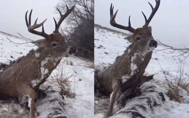 Thay huou mac ket trong bang, dinh giai cuu, phat hien chuyen kinh di...