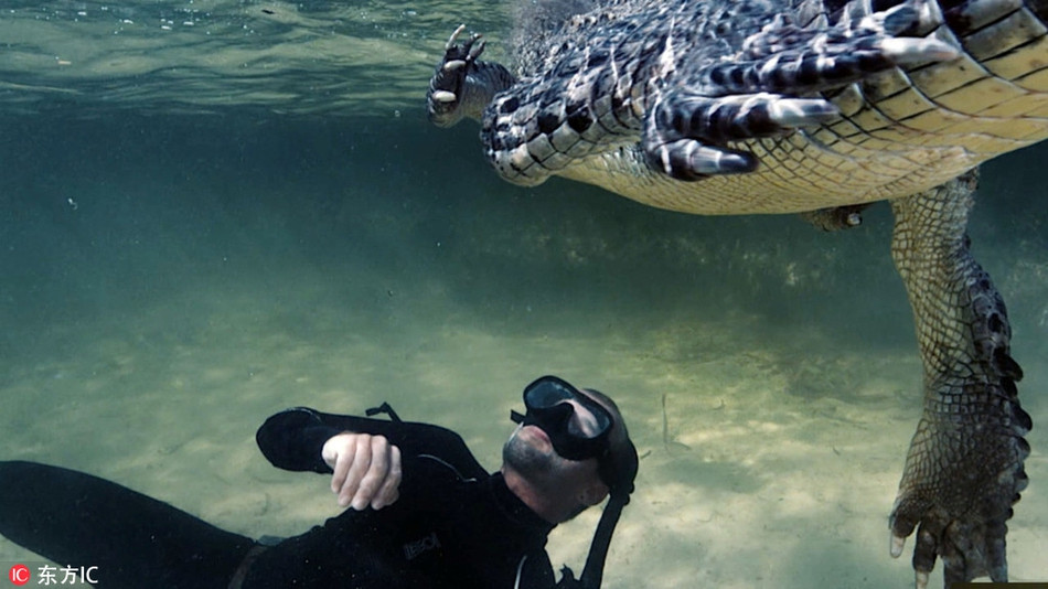 Trông giống như thể cả hai bên đang sắp bước vào cuộc đại chiến sinh tử vô cùng đáng sợ.
