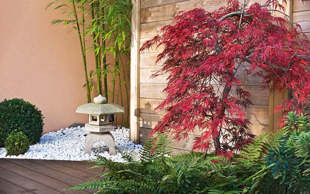 Dem tan hon chu re de nghi dieu bat ngo