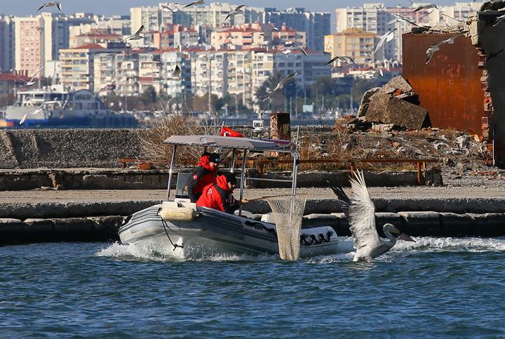Đây cũng là lời cảnh báo đến ý thức bảo vệ môi trường và động vật hoang dã của mọi người. Hãy chú ý đến hành vi xả rác bừa bãi nơi công cộng, vì một hành vi nhỏ nhưng có thể khiến các loài động vật hoang dã chịu khổ, thậm chí mất mạng.