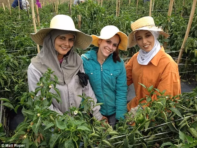 Các chị em phụ nữ ở đây luôn mơ về “ngôi nhà và những đứa trẻ” nhưng thị trấn luôn trong tình trạng thiếu vắng đàn ông nên cơ hội lập gia đình rất ít. Nam giới tại nơi này đa số đã có vợ hoặc đi xa. Cuối tuần họ mới tạt về nhà nên đấng mày râu trở nên “quý hiếm”.