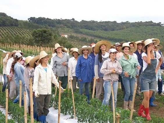 Tuy nhiên, không phải vì “ế” chồng mà các cô gái tại thị trấn Noiva do Cordeiro dễ dãi. Họ đặt ra những điều kiện khắt khe dành cho phái mạnh. Họ yêu cầu đàn ông phải biết làm mọi thứ, phải rửa bát, giặt đồ, nấu ăn, dọn nhà vệ sinh.