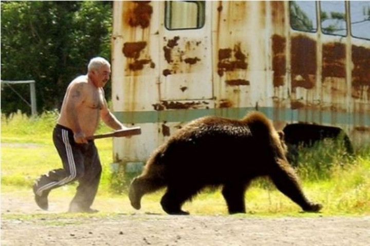 Người đàn ông này thậm chí còn chơi đùa với gấu nâu.