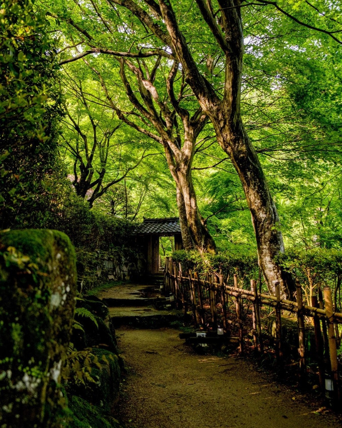 Khung cảnh cổ kính, lặng yên, tách biệt với phố thị ồn ào. Đi dạo một vòng, hay chỉ cần ngồi trong đền, du khách sẽ thấy rất thư giãn.