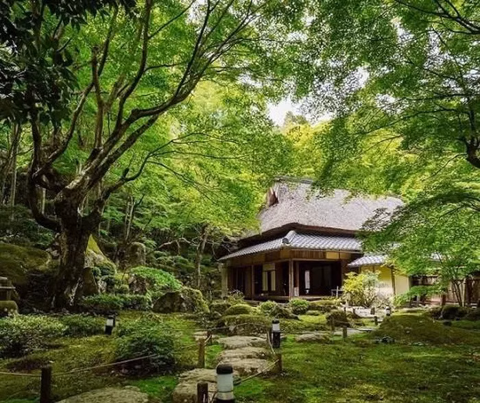 Kham pha ngoi den co 1500 tuoi nam giua rung cay-Hinh-3