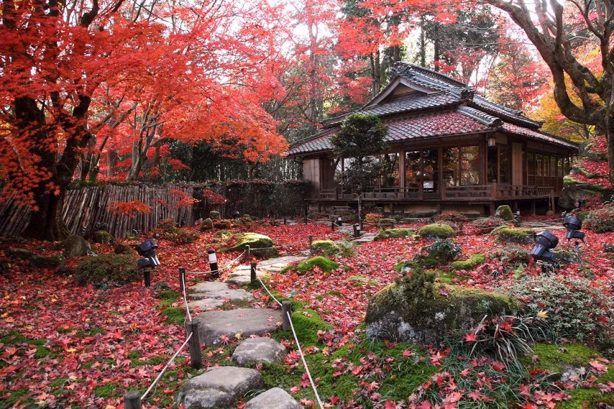 Kham pha ngoi den co 1500 tuoi nam giua rung cay-Hinh-2