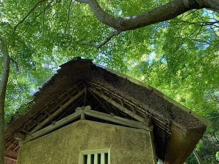 Kham pha ngoi den co 1500 tuoi nam giua rung cay-Hinh-4