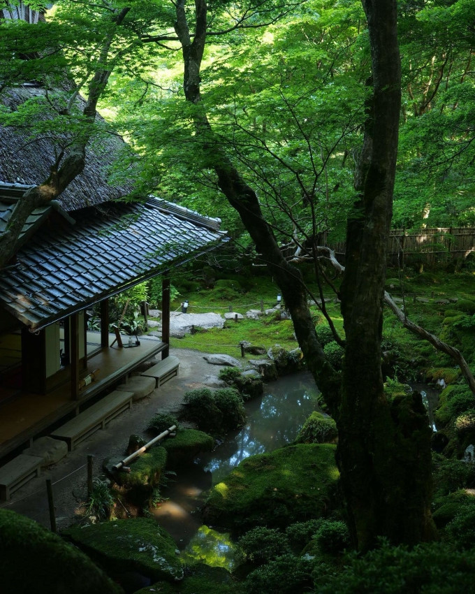 Đầu tháng 5 tới tháng 9, du khách sẽ được ngắm khung cảnh xanh rì, mát rượi của rừng cây bao quanh.