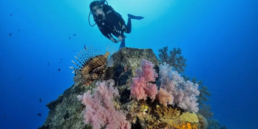Ngoài ngắm nhìn thác nước dưới lòng biển, du khách đến đây còn có nhiều trải nghiệm thú vị như lặn ngắm san hô, chèo thuyền kayak, ngắm cảnh bằng trực thăng, hay thưởng thức hải sản tươi ngon. Ảnh: Mauritius, IT.