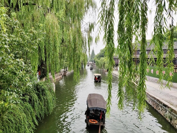 Du khách cũng có thể tản bộ dọc theo những con đường rợp bóng cây ngân hạnh, phong đỏ và dương liễu trong thị trấn.