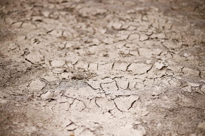 Hiếm thấy dòng sông dài nhất Italy cạn trơ đáy vì hạn hán - Hình 12 Hiem thay dong song dai nhat Italy can tro day vi han han-Hinh-12