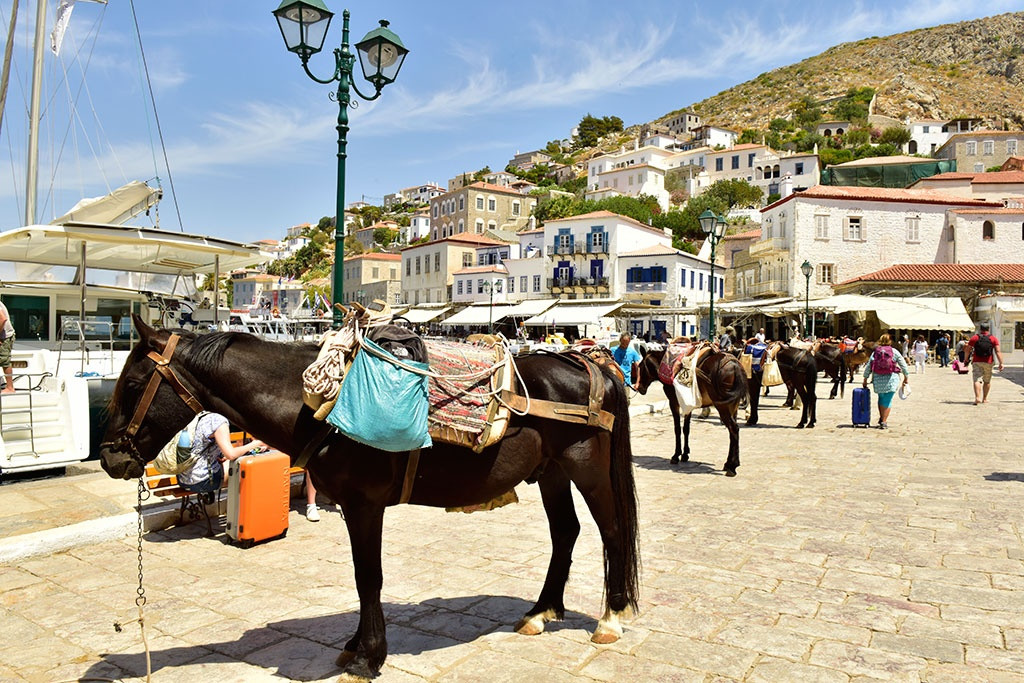 Ở đây chỉ có những chú lừa hoặc ngựa làm nhiệm vụ vận chuyển chính, phổ biến hơn là lừa. Ngay tại bến cảng, du khách đã có thể gặp hàng đoàn lừa đứng xếp hàng chờ khách thuê.