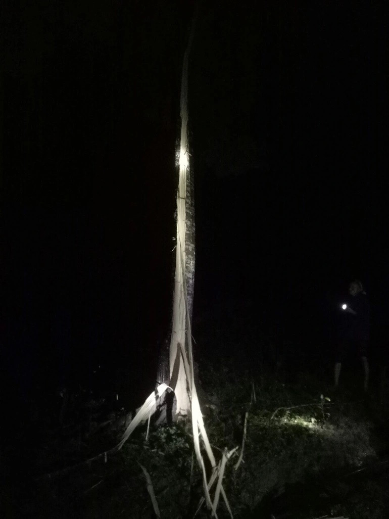 Hai chau be bi set danh tu vong khi theo ong ba len nuong-Hinh-2