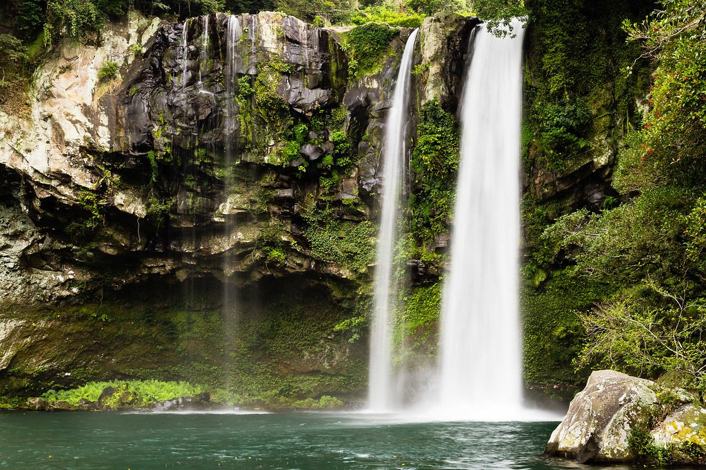 Ngoài ra, thác nước Cheonjiyeon Jeju này có một đặc điểm nữa mà ai tới cũng thích. Đó chính là sự đa dạng sinh học với rất nhiều cây cối tươi tốt mọc lên.
