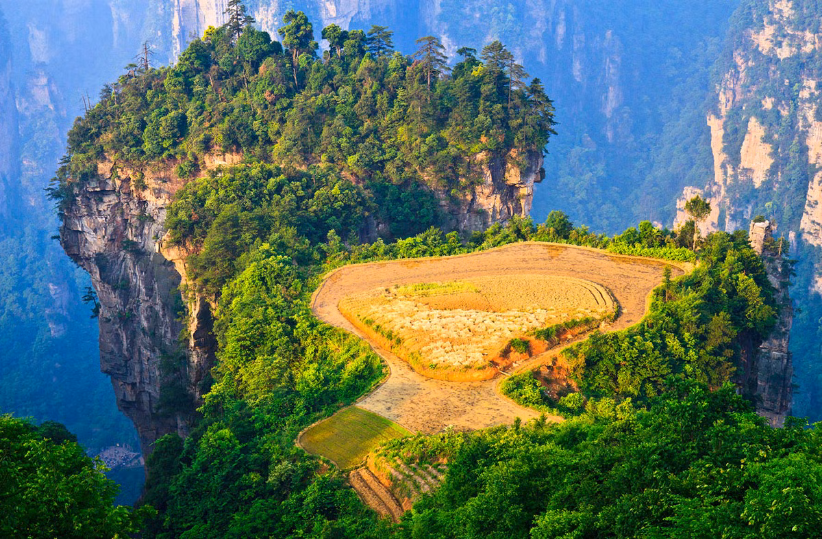 Nét độc đáo tạo nên vẻ đẹp kỳ lạ của Trương Gia Giới chính là những rừng đá sa thạch hùng vĩ. Nơi đây được xem là nguồn cảm hứng cho các nhà làm phim tạo nên dãy núi Hallelujah trong bộ phim Avatar năm 2009.