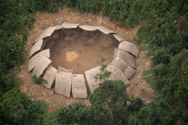 Rung minh bo toc o rung Amazon co tuc uong tro cot nguoi chet-Hinh-4