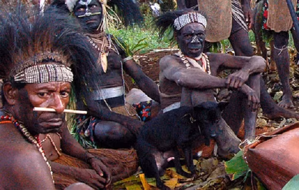 Rung minh bo toc o rung Amazon co tuc uong tro cot nguoi chet