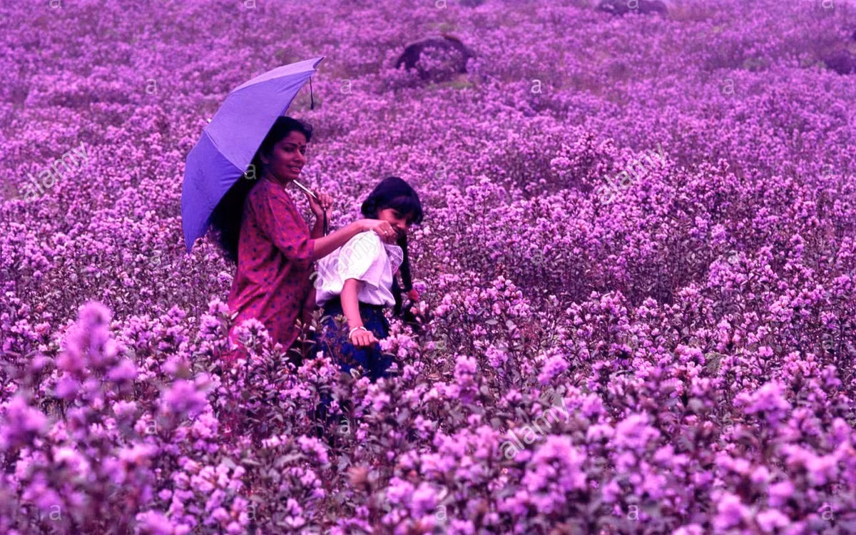 “Giai ma” loai hoa hiem o An Do 12 nam moi no mot lan-Hinh-10