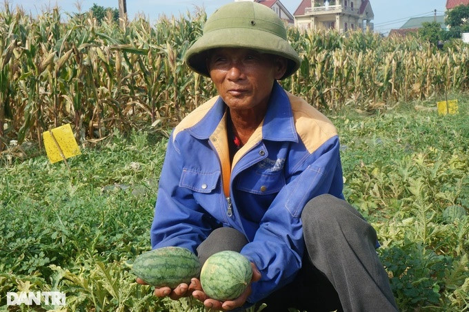 “Dua hong thi vu sau trong tiep, toi tha thu de cac chau sua chua loi lam“-Hinh-5