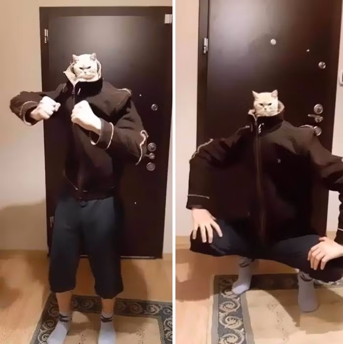 Loat anh thu cung hai huoc khien ai cung phai bat cuoi