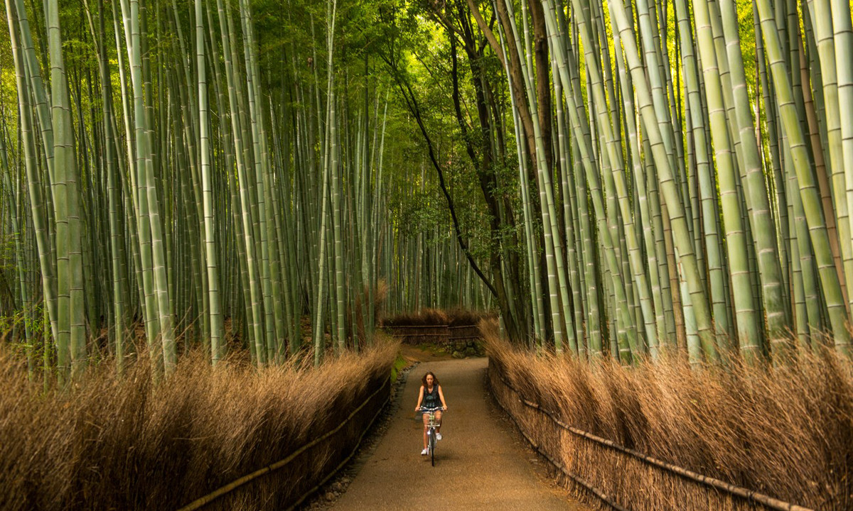 Để có trải nghiệm tốt nhất, hãy ghé thăm rừng tre Arashiyama vào sáng sớm hoặc chiều muộn và tránh các ngày cuối tuần. Ảnh: IT.