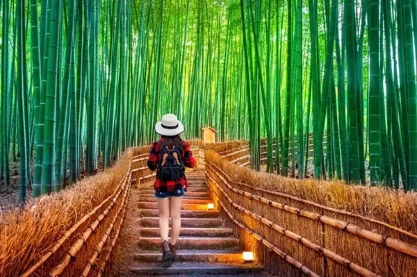 Chính phủ Nhật Bản đã đưa rừng tre Arashiyama vào danh sách “100 âm thanh cần được bảo tồn của Nhật Bản”.