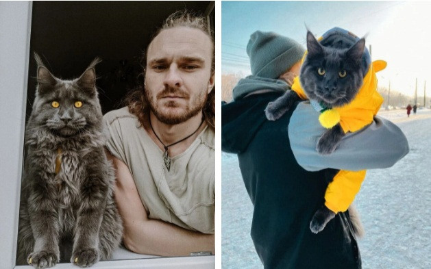 Meo cung khong lo o Nga long den tuyen nhin tuong bao den-Hinh-2