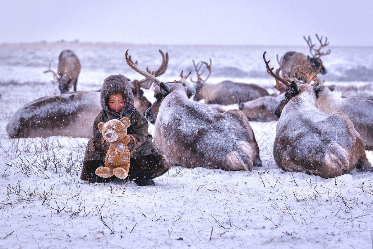 Cậu bé chơi cùng chú gấu bông cạnh bầy tuần lộc ở Bán đảo Tazovskiy, quận tự trị Yamalo-Nenets, của nhiếp ảnh gia A. Romanov.