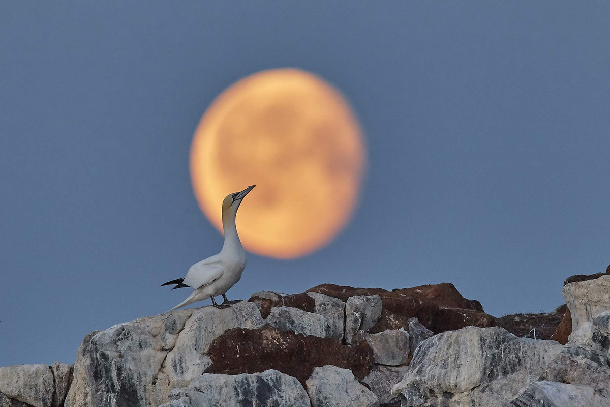 Cảnh tượng tuyện đẹp trên đảo Harlov ở biển Barents.