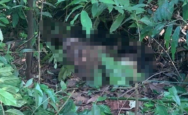 Xac dinh duoc thi the nam gioi quan chan va day tren doi Cao